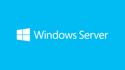 Parker-co-windows-server-installation-support